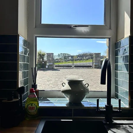 Mullaghmore Driftwood *