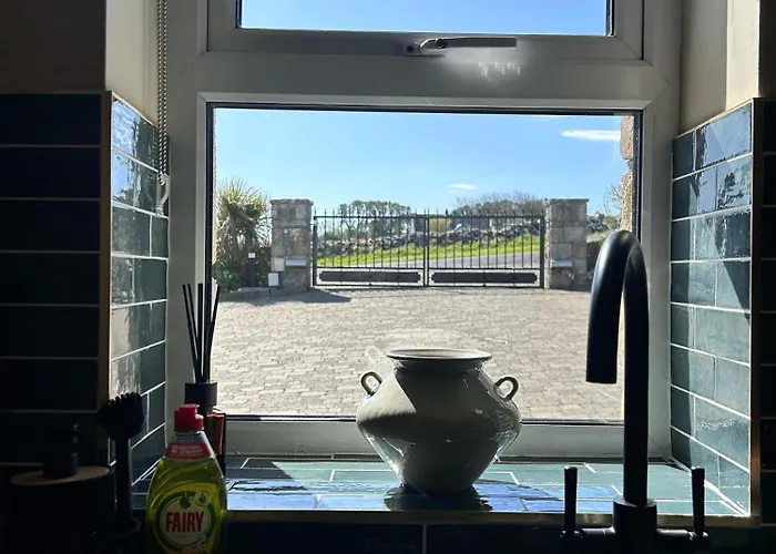 Mullaghmore Driftwood *