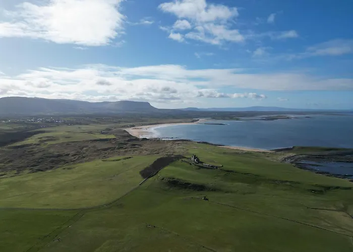 Mullaghmore Driftwood