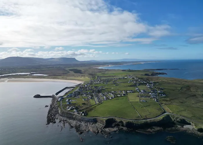 Mullaghmore Driftwood