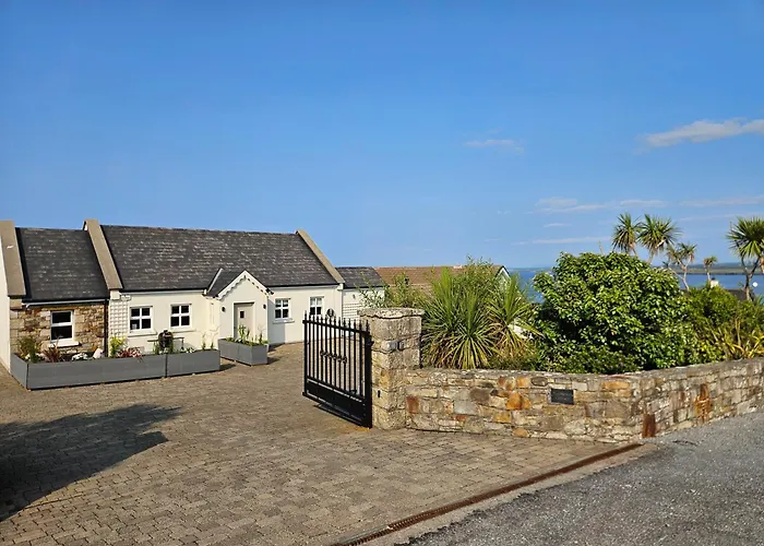 Mullaghmore Driftwood